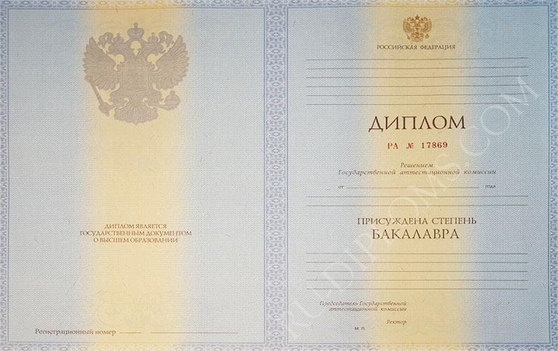 Диплом бакалавра  2010-2013 год  